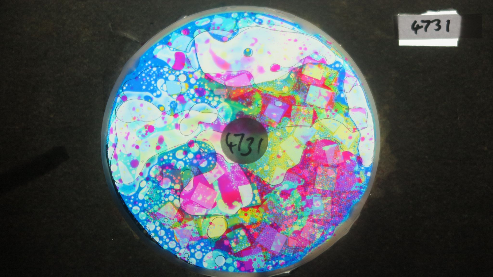 BV4731 bubble vision oil wheel